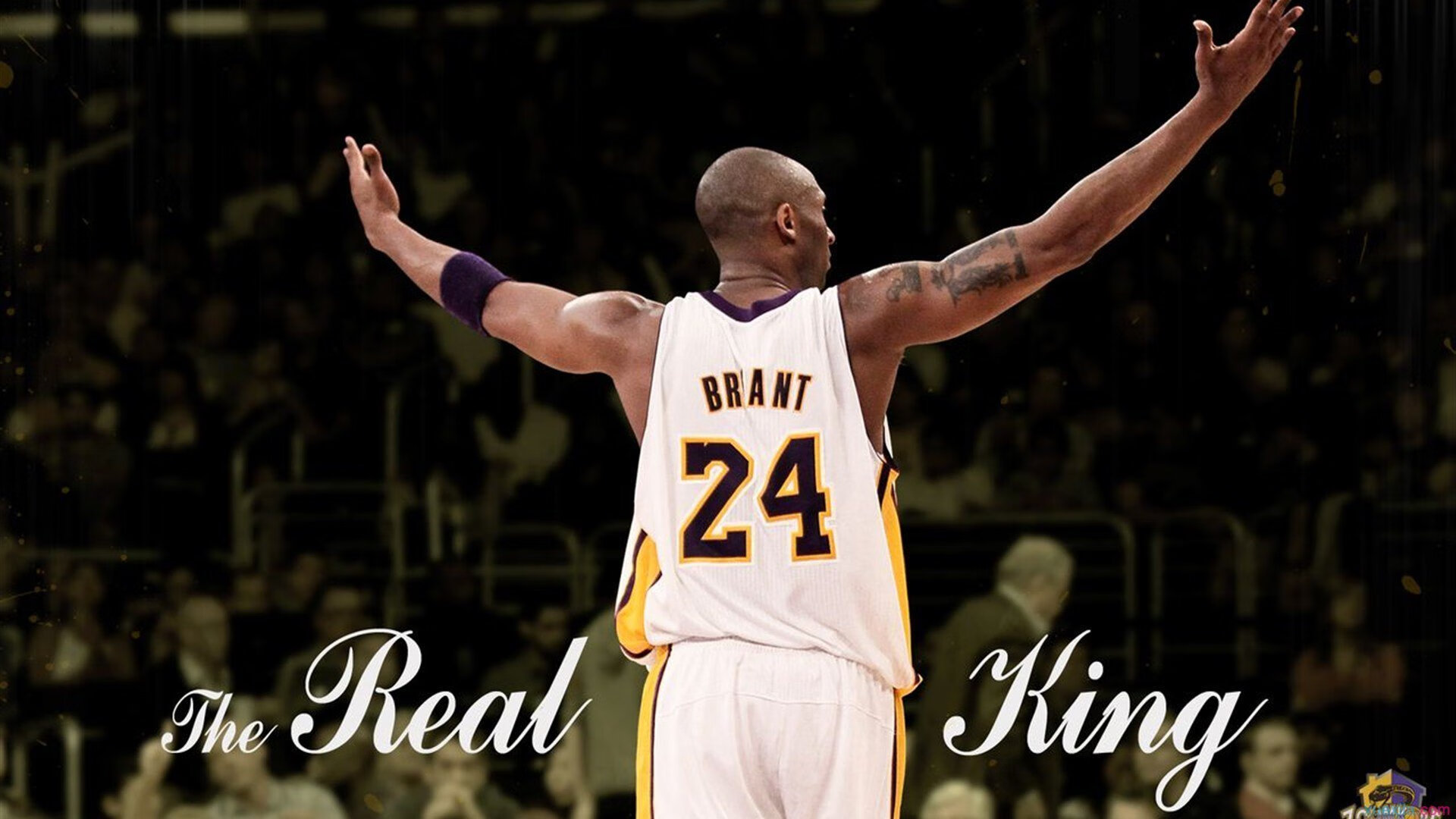 _全明星赛：集结最受欢迎的运动员_，全明星赛项目